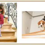 How to make your stairs non-slippery for kids and pets