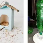 Make Bird Feeders at Home (Easy Kids Craft