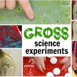 Top Gross Science Experiments, Squishy Toys & Science Kits for Kids