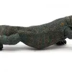 Komodo Dragon plush animal toys & toy figurines